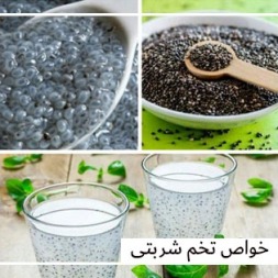 از خواص تخم شربتی چه می دانید؟ از خواص تخم شربتی چه می دانید؟