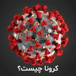 کرونا چیست و چگونه از خود در برابر آن محافظت کنیم ؟ کرونا چیست و چگونه از خود در برابر آن محافظت کنیم ؟