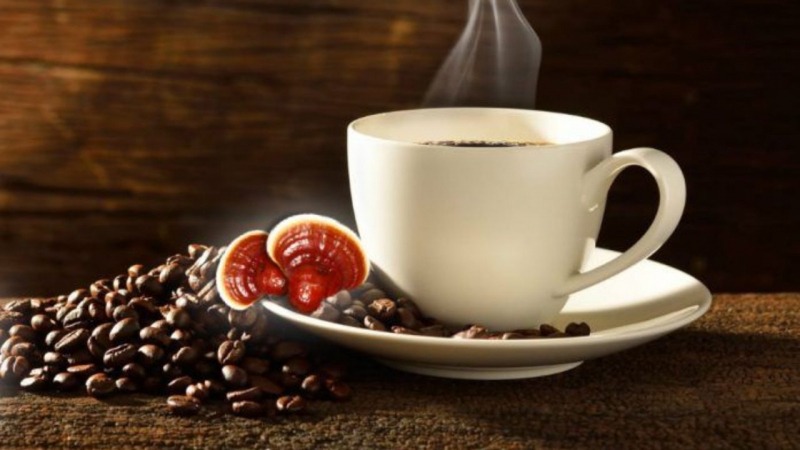 قهوه گانودرما و اثرات آن