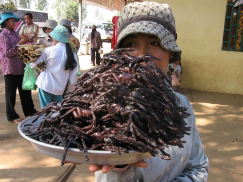 غذای عجیب و چندش آور مردم کامبوج